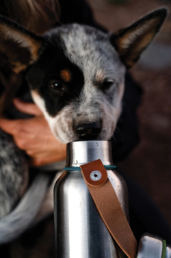 Logotrade Geschäftsgeschenke das Foto: Black+Blum isolierte Wasserflasche klein, 500ml