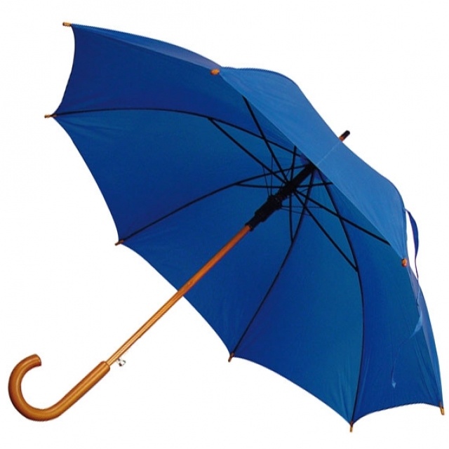 Logotrade promotional gifts photo of: Automatic umbrella NANCY, blue