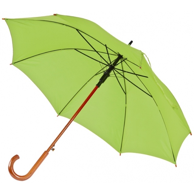 Logotrade promotional items photo of: Wooden automatic umbrella NANCY  color light green