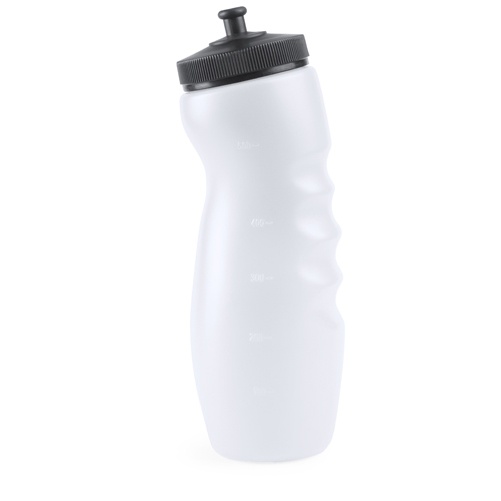 Logo trade promotional gifts image of: sport bottle AP741869-01