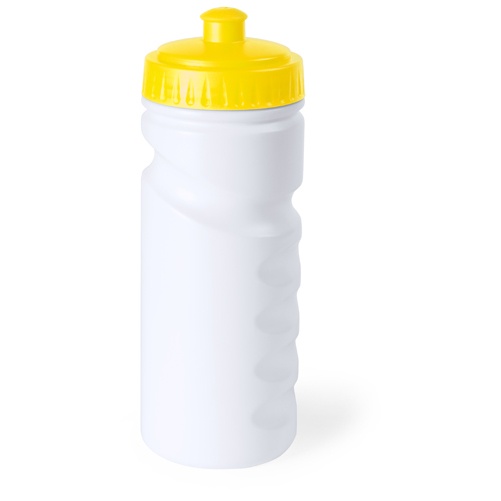 Logotrade corporate gift image of: sport bottle AP741912-02