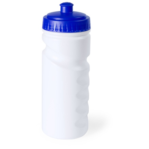 Logo trade promotional merchandise photo of: sport bottle AP741912-06 blue