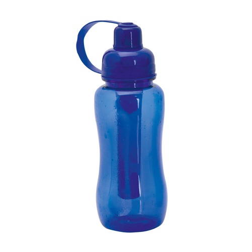 Logotrade promotional merchandise photo of: sport bottle AP791796-06 blue