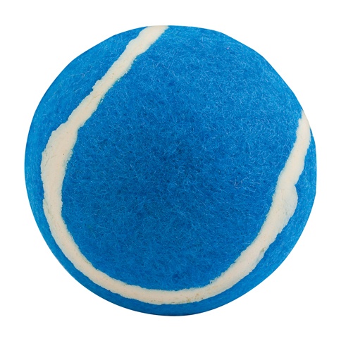 Logo trade business gifts image of: ball for dogs AP731417-06 blue