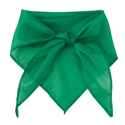 Logotrade promotional merchandise photo of: Triangle scarf, green