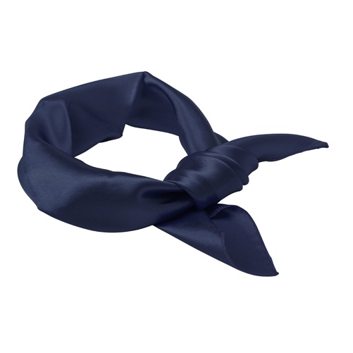 Logo trade corporate gifts picture of: Ladies scarf Cool, navy