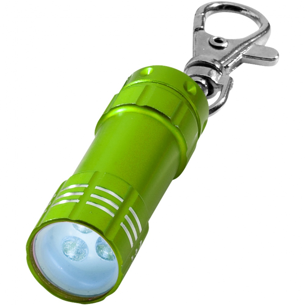 Logotrade promotional merchandise photo of: Astro key light, light green