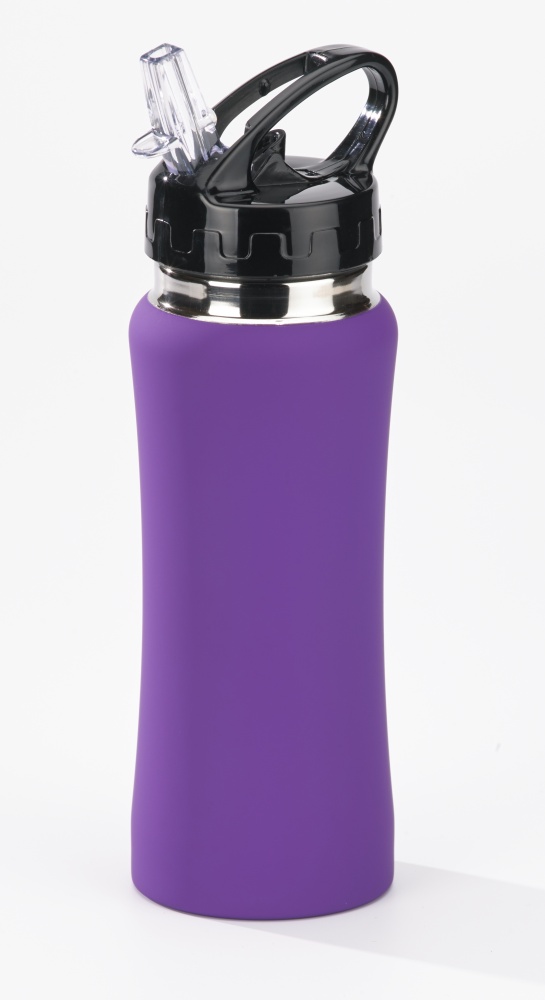 Logotrade promotional giveaways photo of: WATER BOTTLE COLORISSIMO, 600 ml, purple