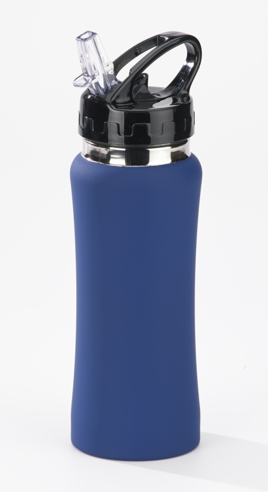 Logo trade promotional items image of: WATER BOTTLE COLORISSIMO, 600 ml, blue