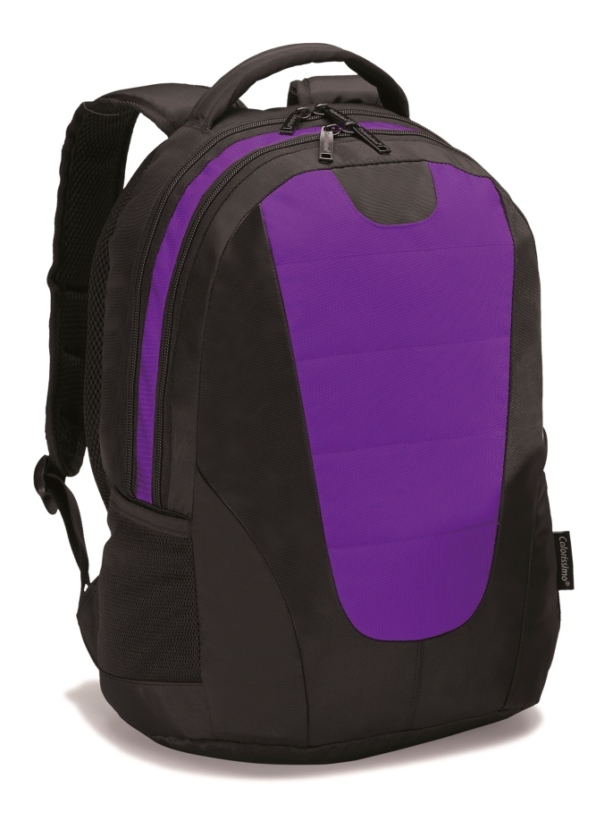 Logotrade promotional gifts photo of: COLORISSIMO LAPTOP  BACKPACK 14’, purple