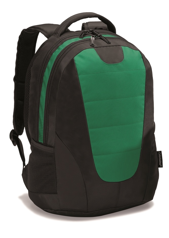 Logotrade promotional item image of: COLORISSIMO LAPTOP  BACKPACK 14’, green