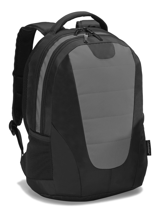 Logo trade promotional gift photo of: COLORISSIMO LAPTOP  BACKPACK 14’, grey