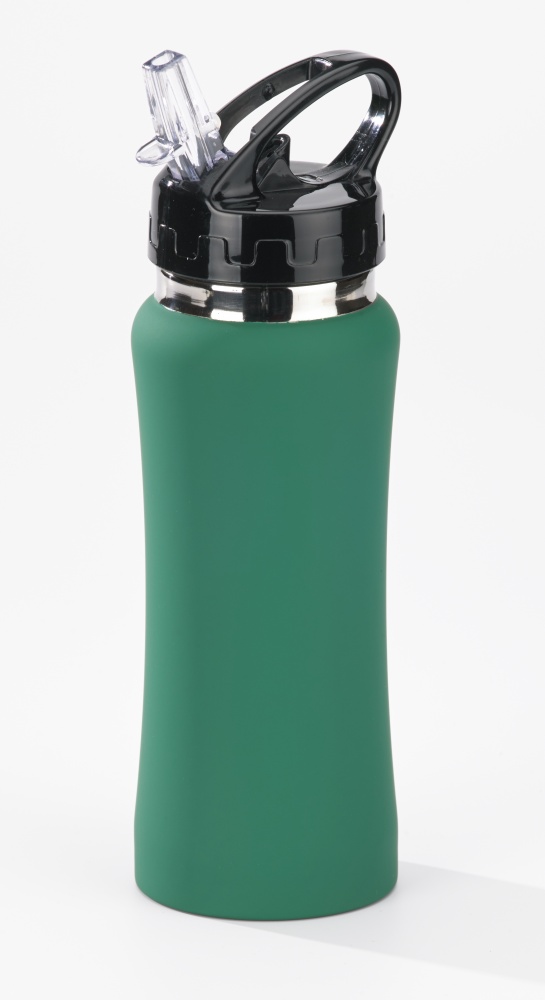 Logo trade promotional item photo of: WATER BOTTLE COLORISSIMO, 600 ml, green