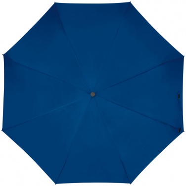 Logotrade promotional items photo of: Automatic pocket umbrella with carabiner handle, Blue