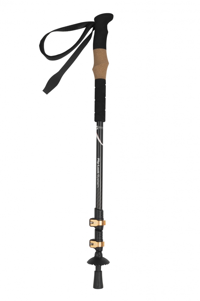 Logo trade promotional gifts picture of: Trekking poles Denali, black