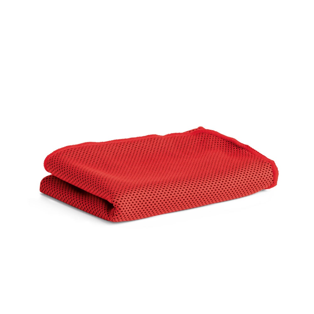 Logotrade promotional merchandise photo of: ARTX. Gym towel, Red