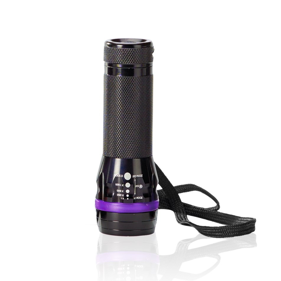 Logo trade corporate gift photo of: LED TORCH COLORADO