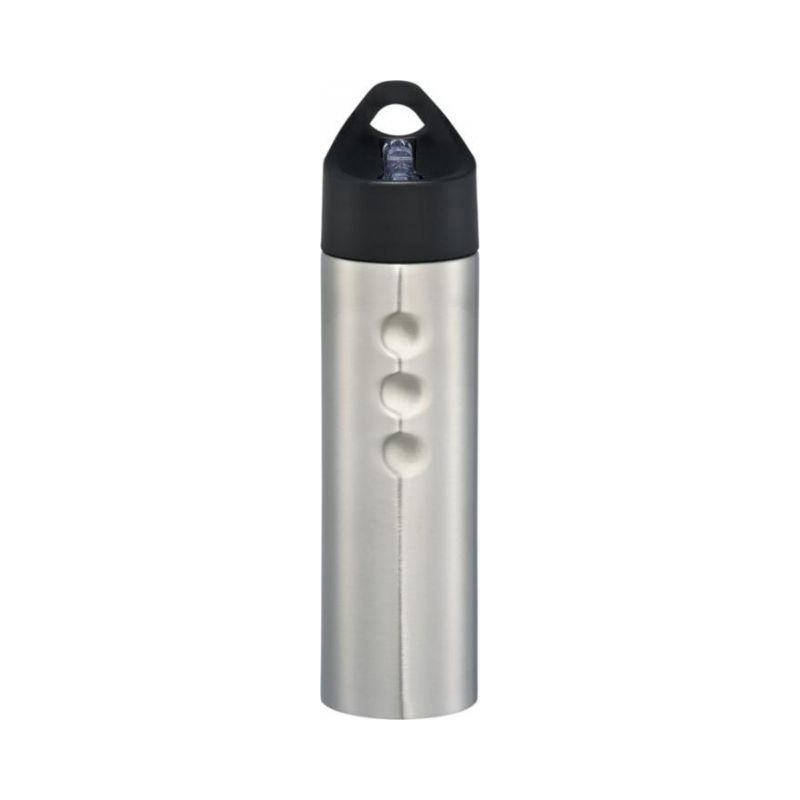 Logo trade corporate gift photo of: Trixie stainless sports bottle, silver