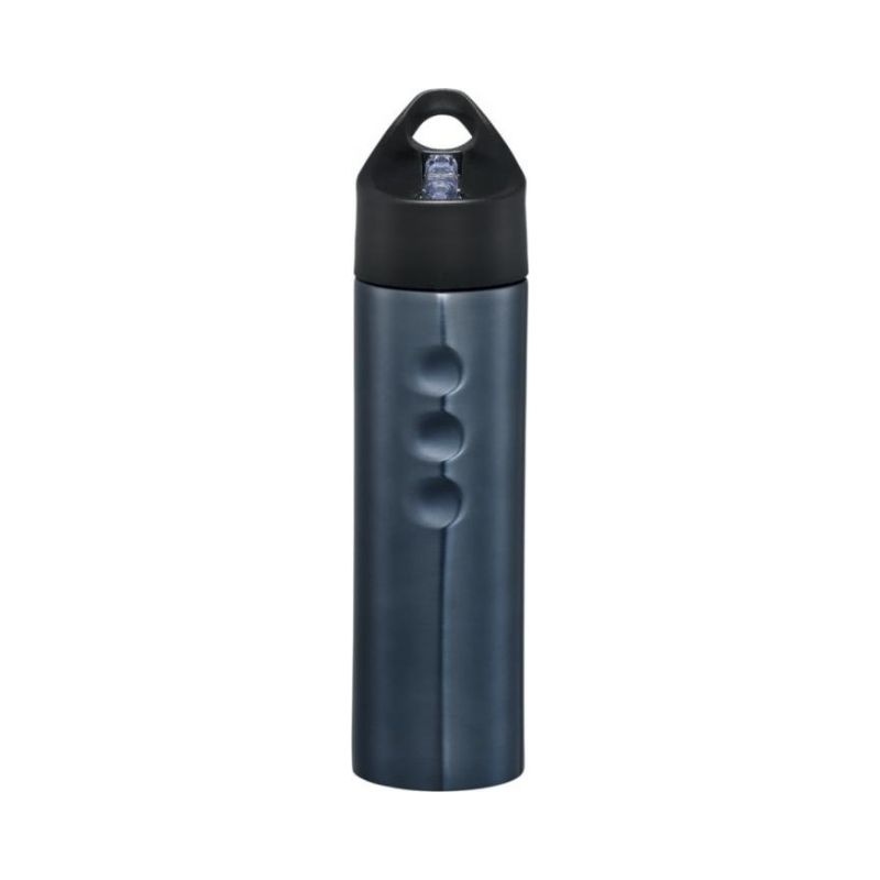 Logo trade promotional item photo of: Trixie stainless sports bottle, titanium