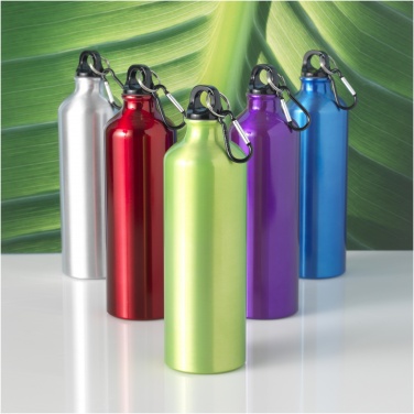 Logotrade advertising product picture of: Oregon 770 ml aluminium water bottle with carabiner