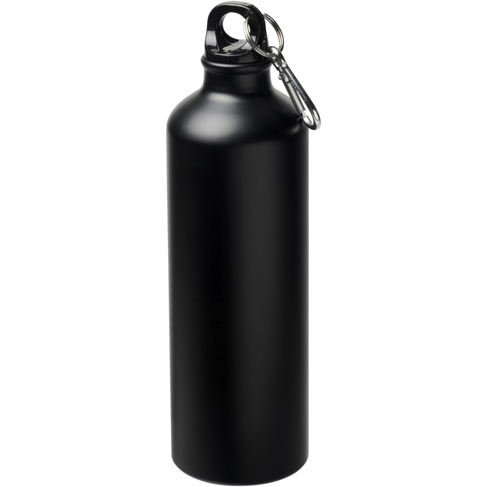 Logo trade promotional products image of: Oregon 770 ml matte water bottle with carabiner