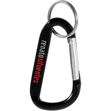 Logotrade promotional gift image of: Timor carabiner keychain