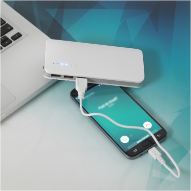 Logo trade promotional merchandise picture of: Spare 10.000 mAh power bank