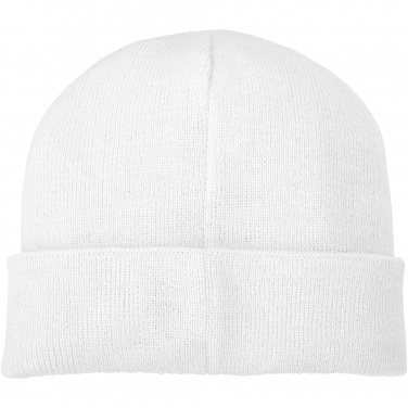 Logotrade promotional merchandise picture of: Boreas beanie with patch