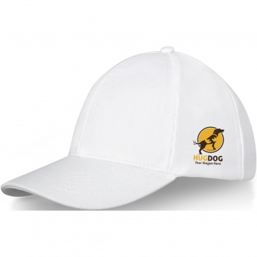 Logo trade promotional item photo of: Drake 6 panel trucker cap