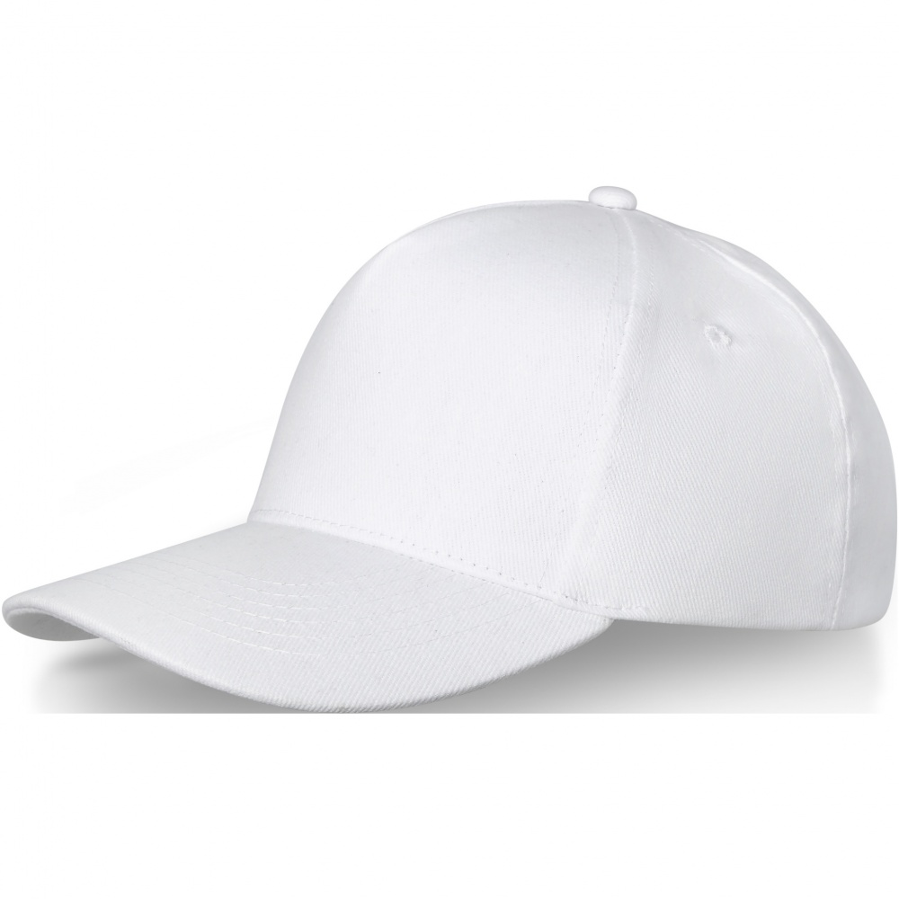 Logotrade advertising products photo of: Doyle 5 panel cap