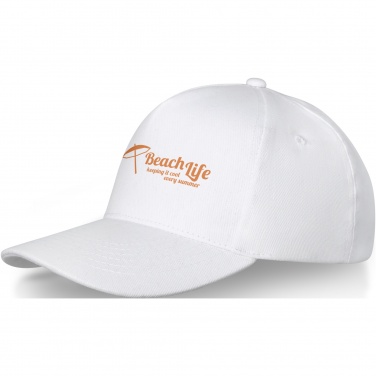 Logo trade promotional giveaway photo of: Doyle 5 panel cap