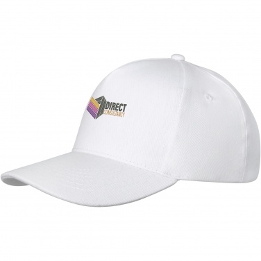 Logo trade promotional giveaway photo of: Doyle 5 panel cap