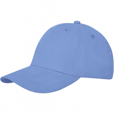 Logo trade promotional giveaway photo of: Davis 6 panel cap