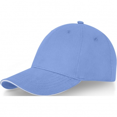 Logo trade promotional merchandise picture of: Darton 6 panel sandwich cap