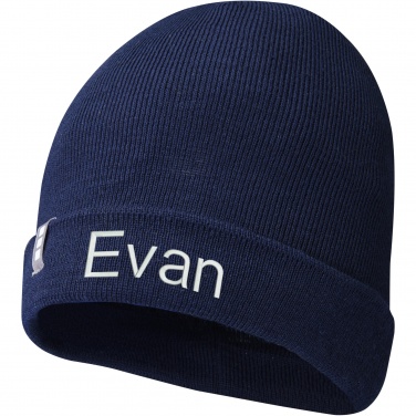 Logo trade promotional gifts image of: Hale Polylana® beanie