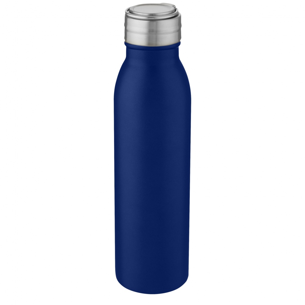 Logotrade promotional items photo of: Harper 700 ml stainless steel water bottle with metal loop