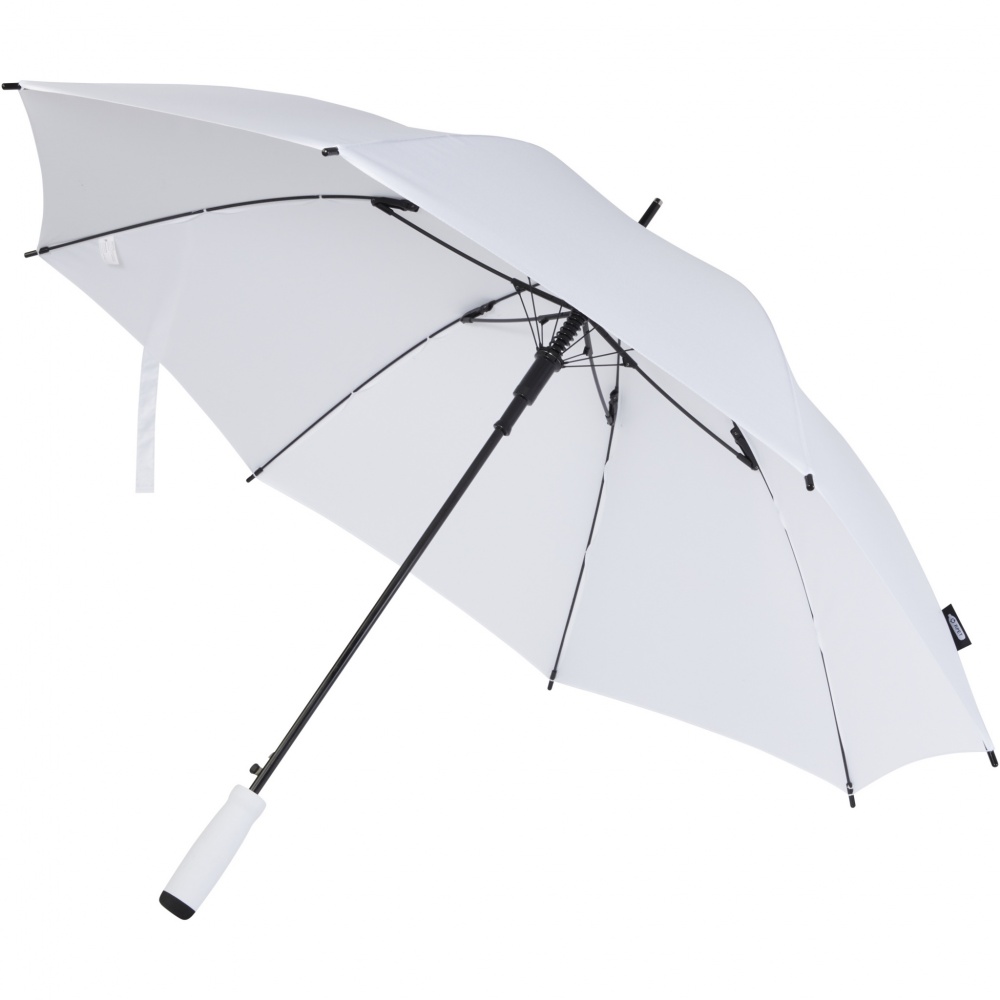 Logotrade promotional merchandise picture of: Niel 23" auto open recycled PET umbrella