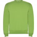 Clasica unisex crewneck sweater, Oasis Green