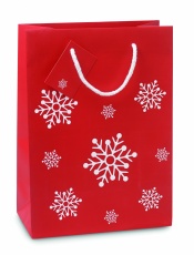 Gift paper bag medium