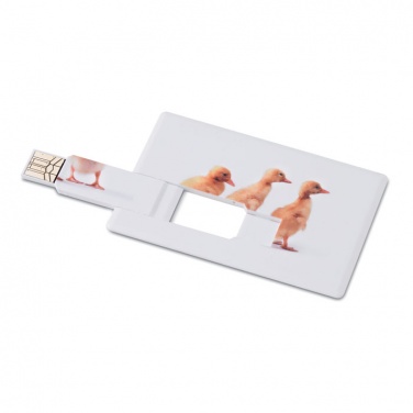 Logo trade promotional items picture of: Creditcard. USB flash 4GB