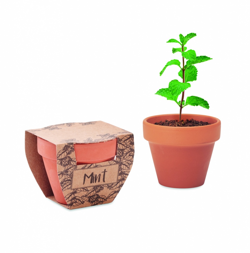 Logo trade advertising product photo of: Terracotta pot mint seeds