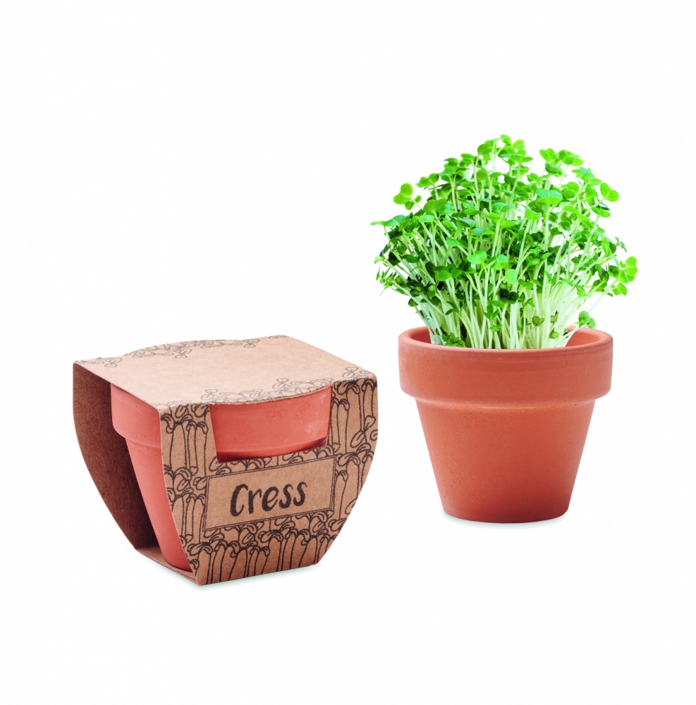 Logo trade promotional giveaways picture of: Terracotta pot cress seeds