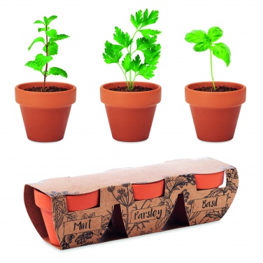 Logo trade promotional gifts picture of: Terracotta 3 herb pot set