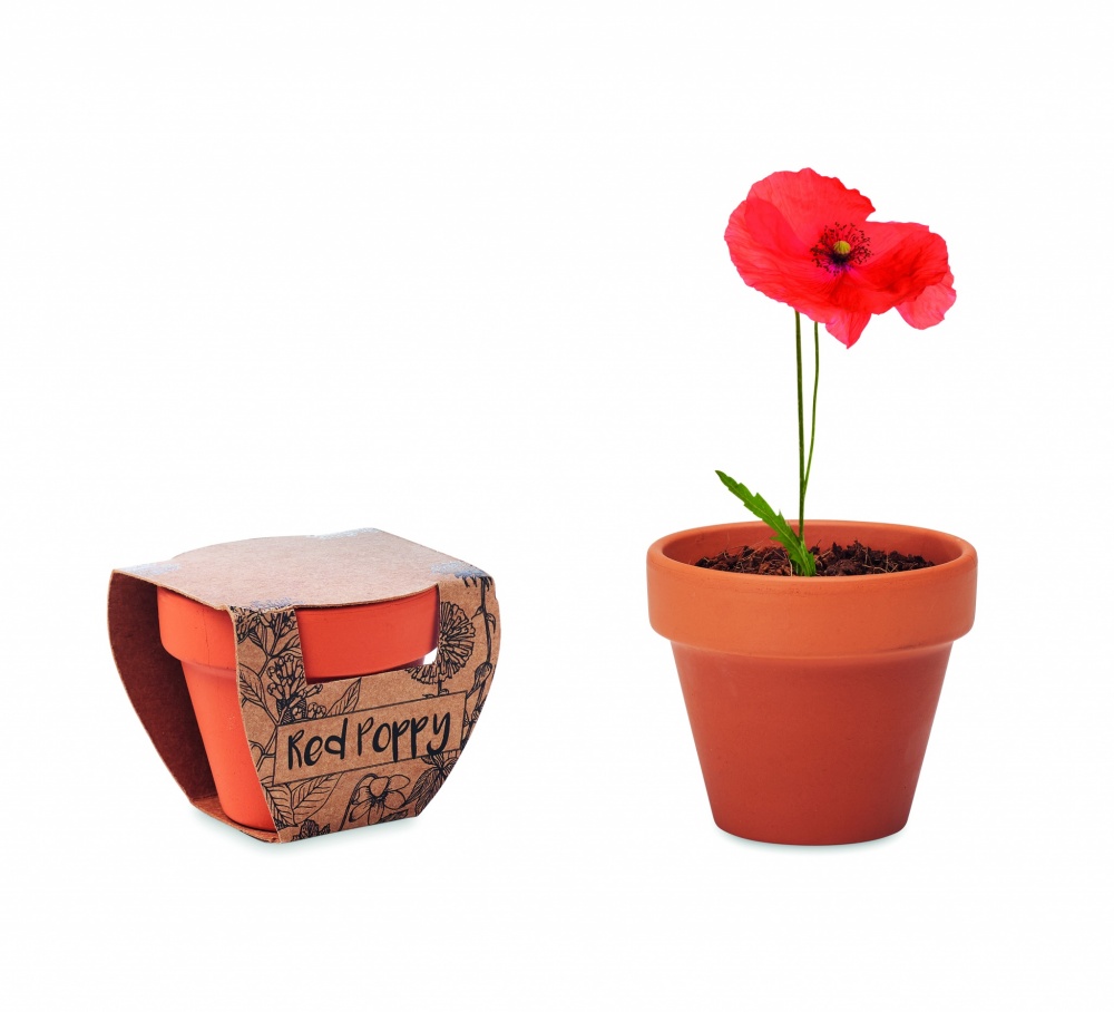 Logotrade promotional gift picture of: Terracotta pot 'poppy'