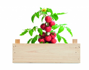 Logo trade promotional merchandise photo of: Tomato kit in wooden crate