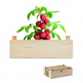 Tomato kit in wooden crate, Wood