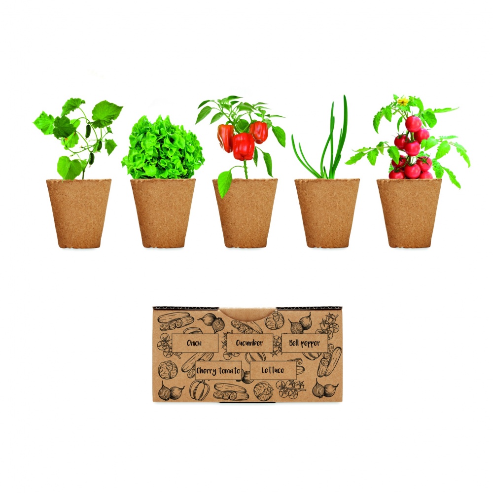 Logo trade promotional giveaway photo of: Salad growing kit