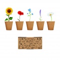 Flowers growing kit, Beige