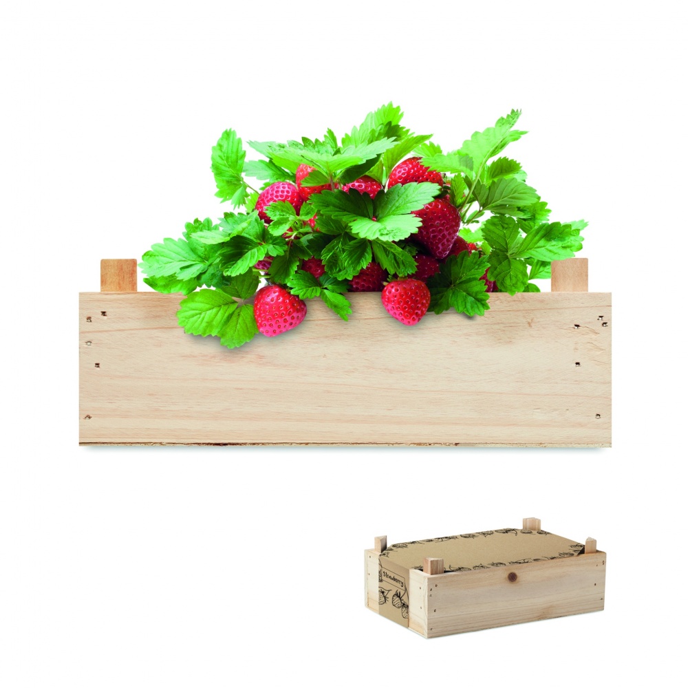 Logo trade promotional items picture of: Strawberry kit in wooden crate