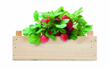 Logo trade promotional product photo of: Strawberry kit in wooden crate